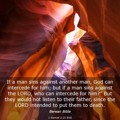 Picture 03 - 1 Samuel 2:25 BSB - If a man sins against another man, God can - Bible Verse Picture