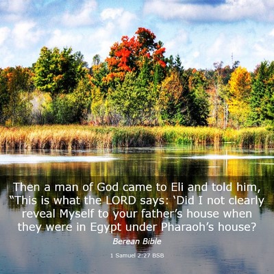 Picture 03 - 1 Samuel 2:27 BSB - Then a man of God came to Eli and told him, - Bible Verse Picture