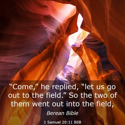 Picture 03 - 1 Samuel 20:11 BSB - “Come,” he replied, “let us go out to the - Bible Verse Picture