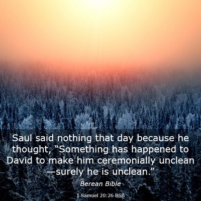 Picture 03 - 1 Samuel 20:26 BSB - Saul said nothing that day because he thought, - Bible Verse Picture