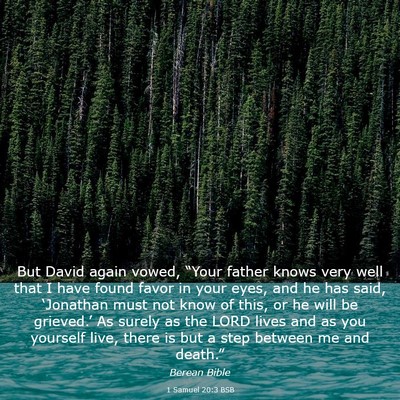 Picture 03 - 1 Samuel 20:3 BSB - But David again vowed, “Your father knows very - Bible Verse Picture