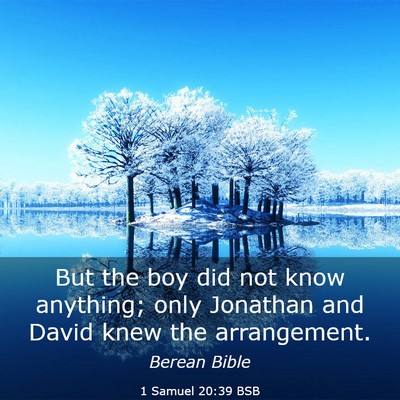 Picture 03 - 1 Samuel 20:39 BSB - But the boy did not know anything; only Jonathan - Bible Verse Picture
