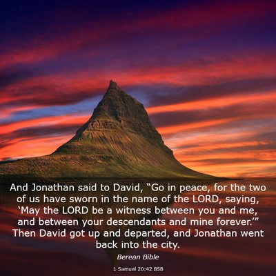 Picture 03 - 1 Samuel 20:42 BSB - And Jonathan said to David, “Go in peace, for - Bible Verse Picture