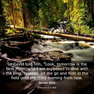 Picture 03 - 1 Samuel 20:5 BSB - So David told him, “Look, tomorrow is the New - Bible Verse Picture
