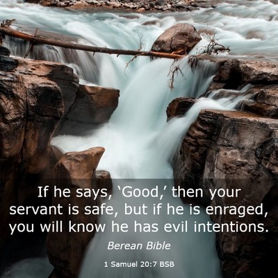Picture 03 - 1 Samuel 20:7 BSB - If he says, ‘Good,’ then your servant is - Bible Verse Picture