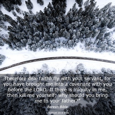 Picture 03 - 1 Samuel 20:8 BSB - Therefore deal faithfully with your servant, for - Bible Verse Picture