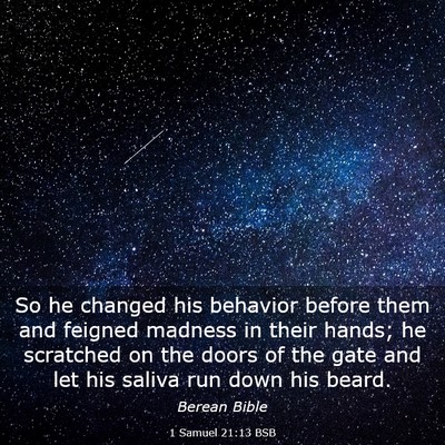 Picture 03 - 1 Samuel 21:13 BSB - So he changed his behavior before them and - Bible Verse Picture