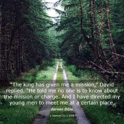 Picture 03 - 1 Samuel 21:2 BSB - “The king has given me a mission,” David - Bible Verse Picture