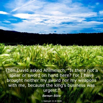 Picture 03 - 1 Samuel 21:8 BSB - Then David asked Ahimelech, “Is there not a - Bible Verse Picture