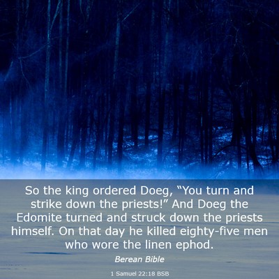 Picture 03 - 1 Samuel 22:18 BSB - So the king ordered Doeg, “You turn and strike - Bible Verse Picture