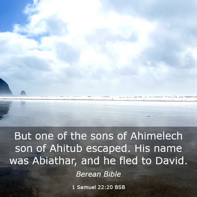 Picture 03 - 1 Samuel 22:20 BSB - But one of the sons of Ahimelech son of Ahitub - Bible Verse Picture