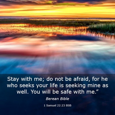 Picture 03 - 1 Samuel 22:23 BSB - Stay with me; do not be afraid, for he who seeks - Bible Verse Picture