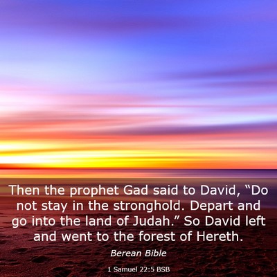 Picture 03 - 1 Samuel 22:5 BSB - Then the prophet Gad said to David, “Do not - Bible Verse Picture