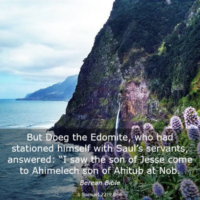 Picture 03 - 1 Samuel 22:9 BSB - But Doeg the Edomite, who had stationed himself - Bible Verse Picture