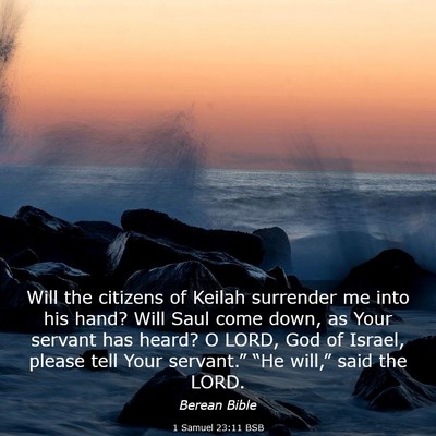 Picture 03 - 1 Samuel 23:11 BSB - Will the citizens of Keilah surrender me into his - Bible Verse Picture