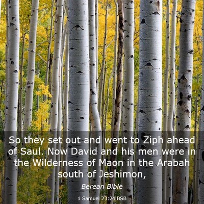 Picture 03 - 1 Samuel 23:24 BSB - So they set out and went to Ziph ahead of Saul. - Bible Verse Picture