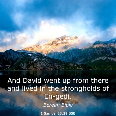 Picture 03 - 1 Samuel 23:29 BSB - And David went up from there and lived in the - Bible Verse Picture