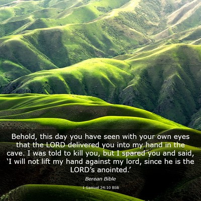 Picture 03 - 1 Samuel 24:10 BSB - Behold, this day you have seen with your own eyes - Bible Verse Picture