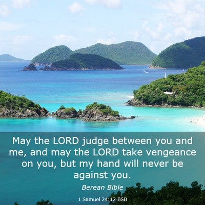 Picture 03 - 1 Samuel 24:12 BSB - May the LORD judge between you and me, and may - Bible Verse Picture