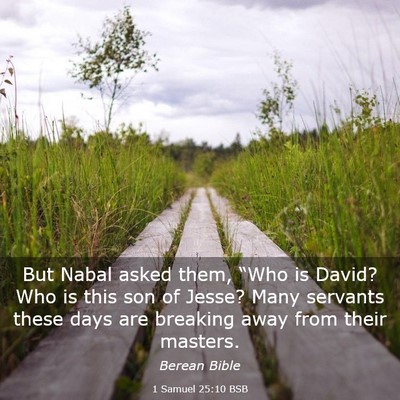 Picture 03 - 1 Samuel 25:10 BSB - But Nabal asked them, “Who is David? Who is - Bible Verse Picture