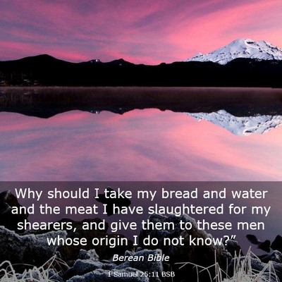 Picture 03 - 1 Samuel 25:11 BSB - Why should I take my bread and water and the meat - Bible Verse Picture