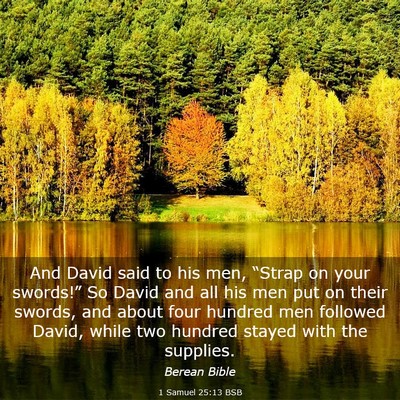 Picture 03 - 1 Samuel 25:13 BSB - And David said to his men, “Strap on your - Bible Verse Picture