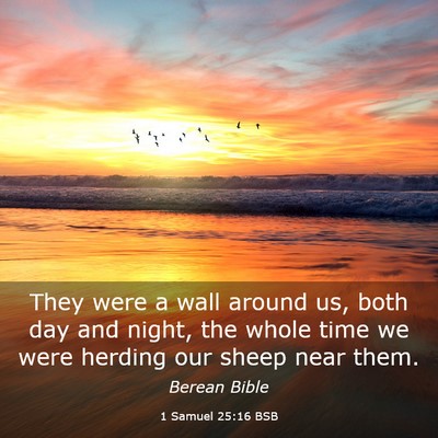 Picture 03 - 1 Samuel 25:16 BSB - They were a wall around us, both day and night, - Bible Verse Picture