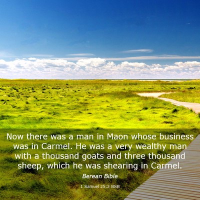 Picture 03 - 1 Samuel 25:2 BSB - Now there was a man in Maon whose business was in - Bible Verse Picture