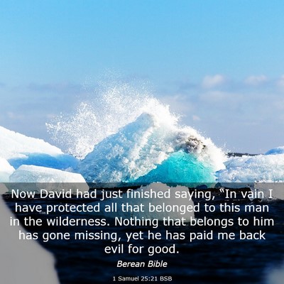 Picture 03 - 1 Samuel 25:21 BSB - Now David had just finished saying, “In vain I - Bible Verse Picture