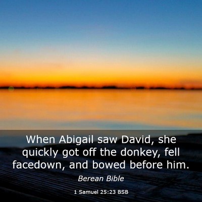Picture 03 - 1 Samuel 25:23 BSB - When Abigail saw David, she quickly got off the - Bible Verse Picture