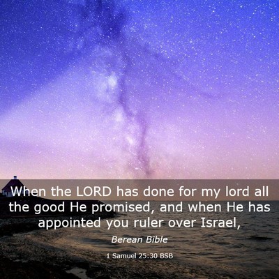 Picture 03 - 1 Samuel 25:30 BSB - When the LORD has done for my lord all the good - Bible Verse Picture