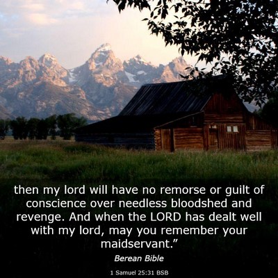 Picture 03 - 1 Samuel 25:31 BSB - then my lord will have no remorse or guilt of - Bible Verse Picture