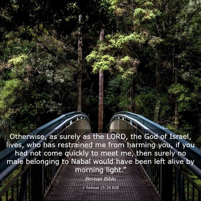Picture 03 - 1 Samuel 25:34 BSB - Otherwise, as surely as the LORD, the God of - Bible Verse Picture