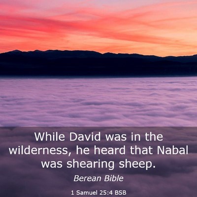 Picture 03 - 1 Samuel 25:4 BSB - While David was in the wilderness, he heard that - Bible Verse Picture
