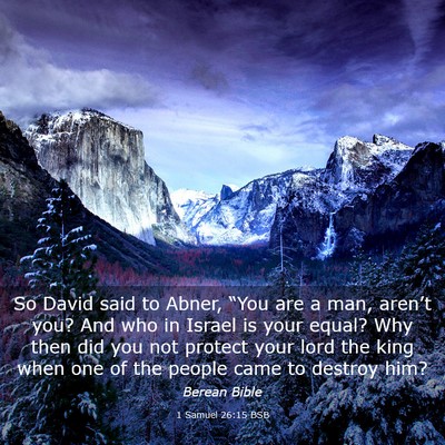 Picture 03 - 1 Samuel 26:15 BSB - So David said to Abner, “You are a man, - Bible Verse Picture