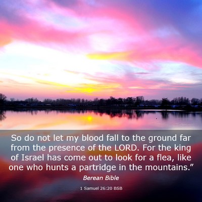Picture 03 - 1 Samuel 26:20 BSB - So do not let my blood fall to the ground far - Bible Verse Picture