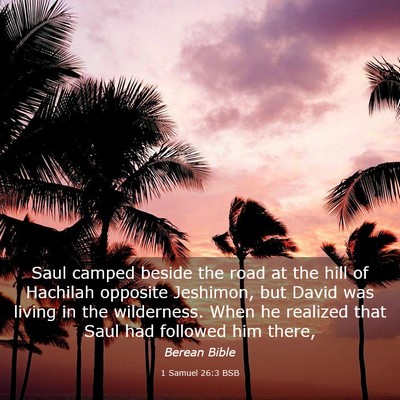 Picture 03 - 1 Samuel 26:3 BSB - Saul camped beside the road at the hill of - Bible Verse Picture