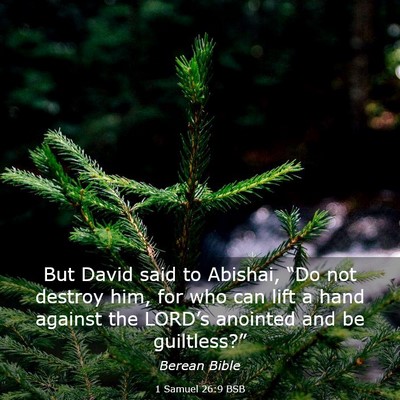 Picture 03 - 1 Samuel 26:9 BSB - But David said to Abishai, “Do not destroy him, - Bible Verse Picture