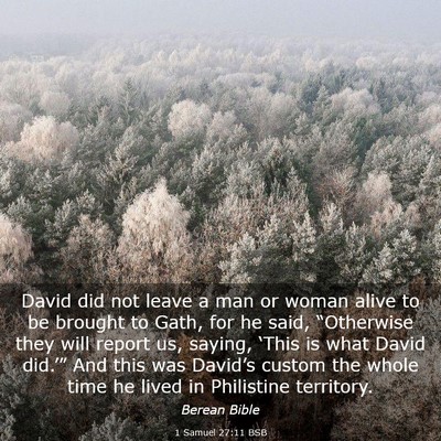 Picture 03 - 1 Samuel 27:11 BSB - David did not leave a man or woman alive to be - Bible Verse Picture