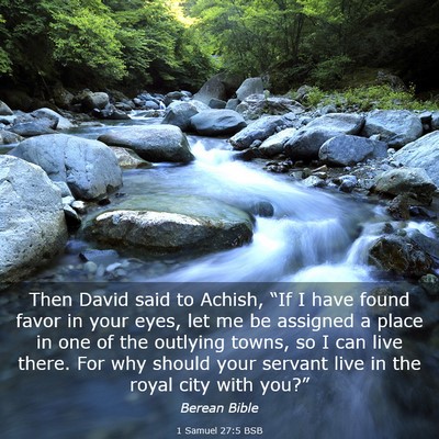 Picture 03 - 1 Samuel 27:5 BSB - Then David said to Achish, “If I have found - Bible Verse Picture