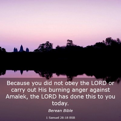 Picture 03 - 1 Samuel 28:18 BSB - Because you did not obey the LORD or carry out - Bible Verse Picture