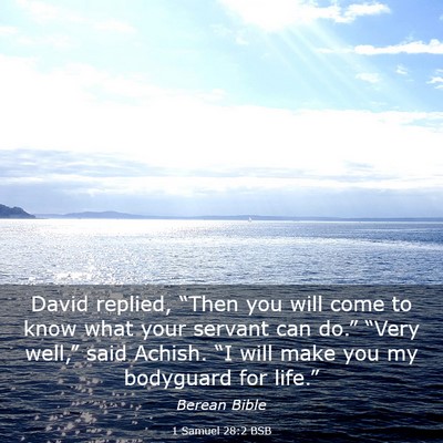 Picture 03 - 1 Samuel 28:2 BSB - David replied, “Then you will come to know what - Bible Verse Picture