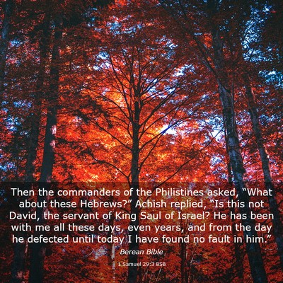 Picture 03 - 1 Samuel 29:3 BSB - Then the commanders of the Philistines asked, - Bible Verse Picture