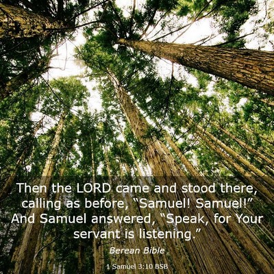 Picture 03 - 1 Samuel 3:10 BSB - Then the LORD came and stood there, calling as - Bible Verse Picture