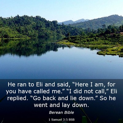 Picture 03 - 1 Samuel 3:5 BSB - He ran to Eli and said, “Here I am, for you - Bible Verse Picture