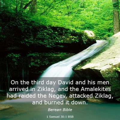Picture 03 - 1 Samuel 30:1 BSB - On the third day David and his men arrived in - Bible Verse Picture