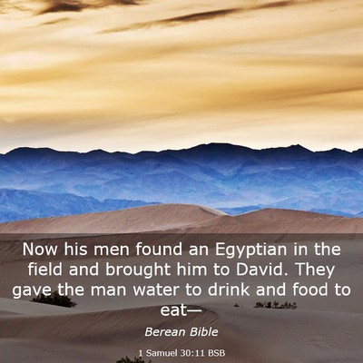 Picture 03 - 1 Samuel 30:11 BSB - Now his men found an Egyptian in the field and - Bible Verse Picture