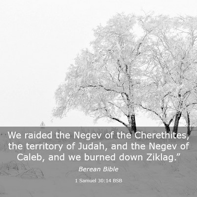 Picture 03 - 1 Samuel 30:14 BSB - We raided the Negev of the Cherethites, the - Bible Verse Picture