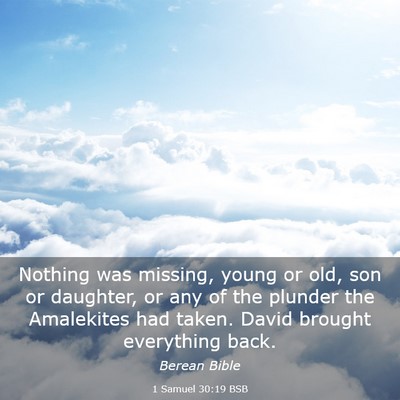 Picture 03 - 1 Samuel 30:19 BSB - Nothing was missing, young or old, son or - Bible Verse Picture