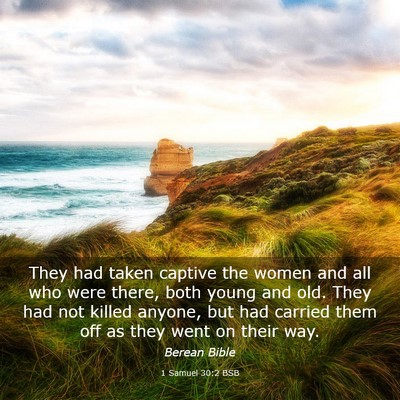 Picture 03 - 1 Samuel 30:2 BSB - They had taken captive the women and all who were - Bible Verse Picture